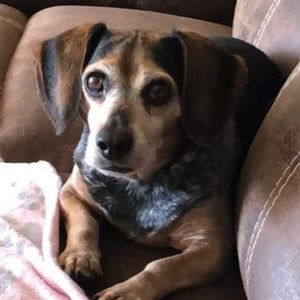 Meet your Posher, Jacob